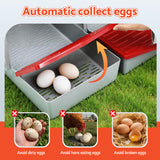 Reptile & Amphibian Habitats: i.Pet Chicken Nesting Box 3 Hole Roll Away Poultry Hen Laying Egg Hutch Red
