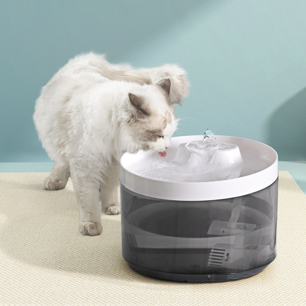 i.Pet Pet Water Fountain Feeder Dispenser Filter Dog Cat