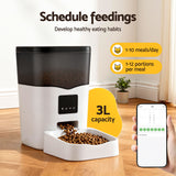 Dog Bowls, Feeders & Waterers: i.Pet Automatic Pet Feeder Dog Cat Feeder Wifi 3L Auto Smart Food Dispenser
