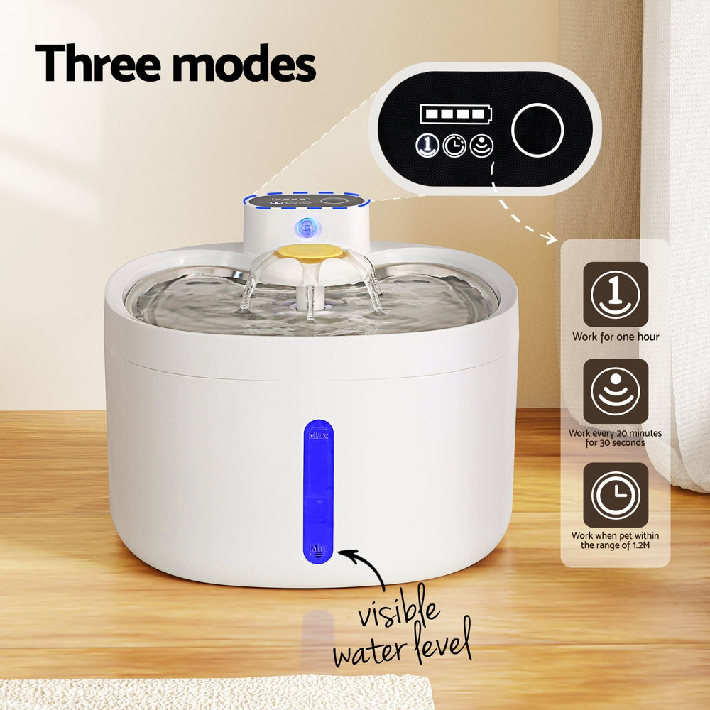 Cat Bowls, Feeders & Waterers: i.Pet Pet Water Fountain Feeder Dispenser Filter Dog Cat Drinking Automatic 2.6L
