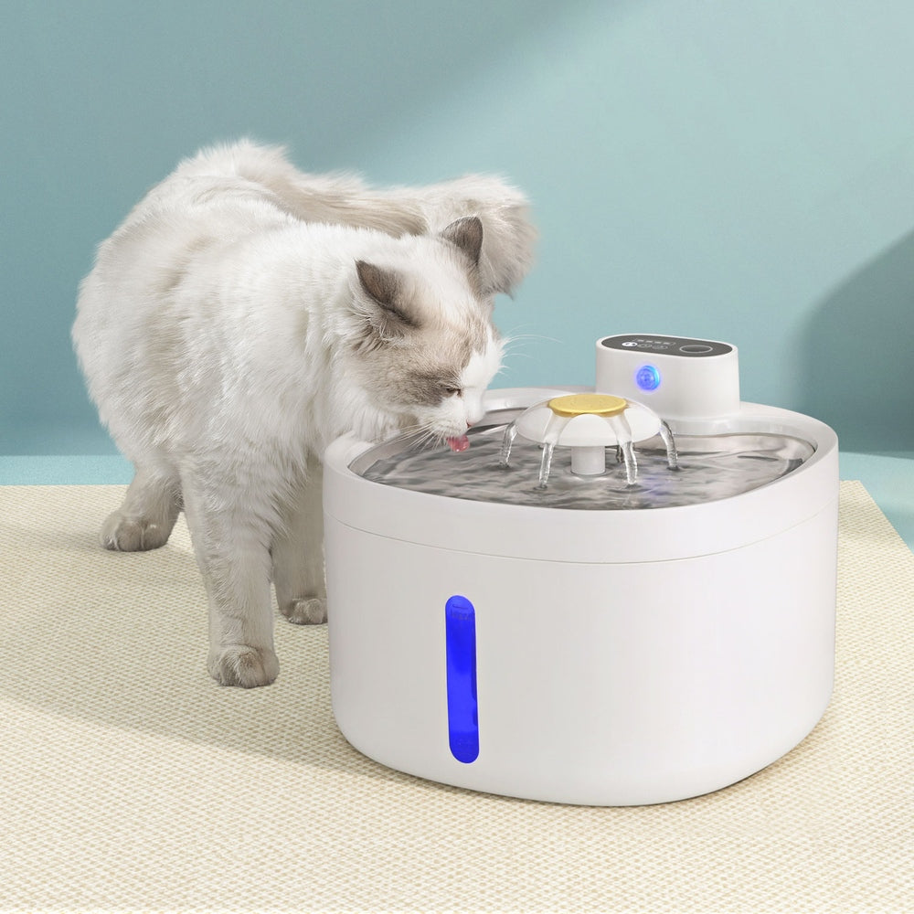 Cat Bowls, Feeders & Waterers: i.Pet Pet Water Fountain Feeder Dispenser Filter Dog Cat Drinking Automatic 2.6L