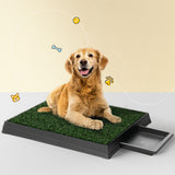 Dog Training Aids: i.Pet Pet Training Pad Dog Potty Toilet Large Loo Portable With Tray Grass Mat