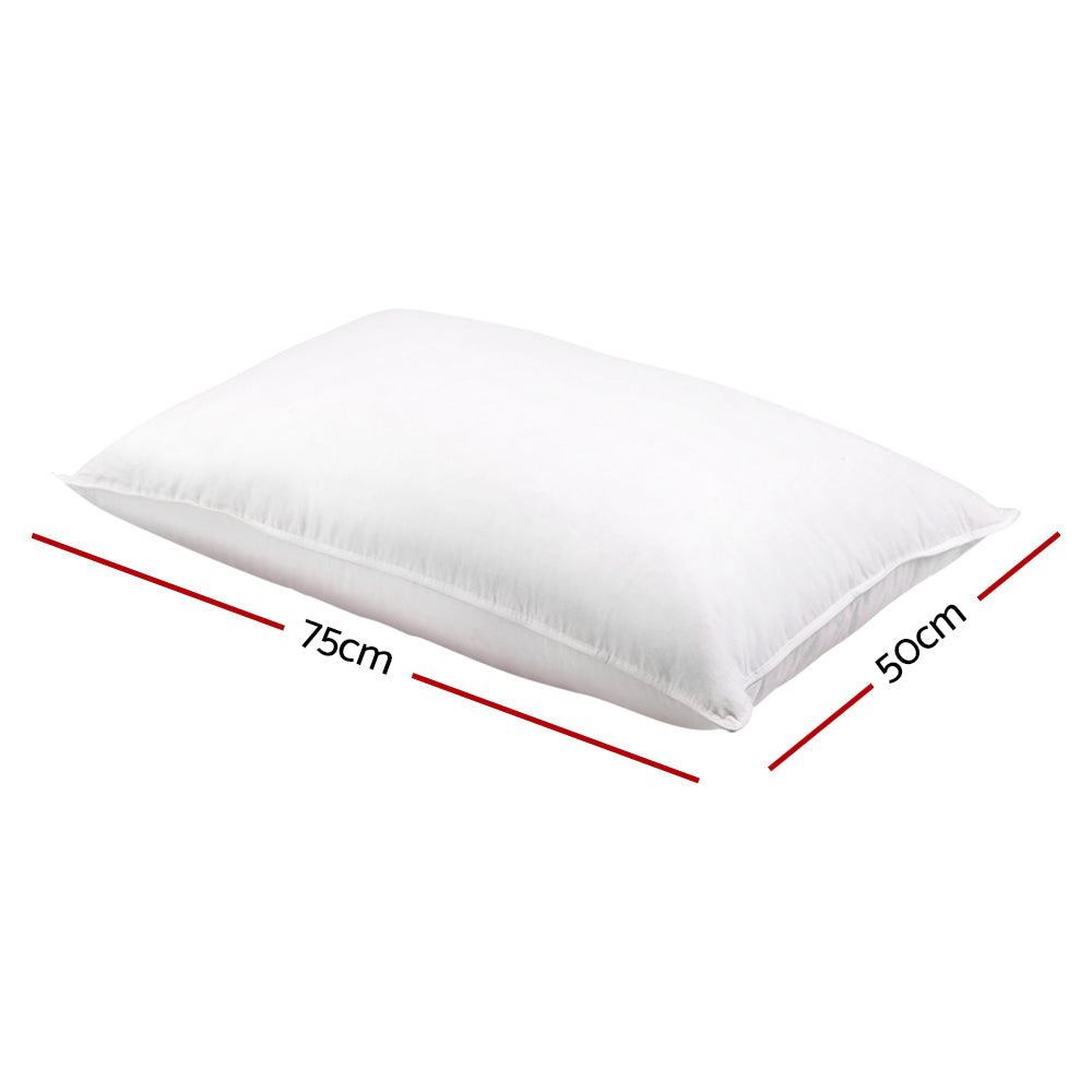 Pillows: Giselle Bedding Duck Feather Down Pillow Twin Pack