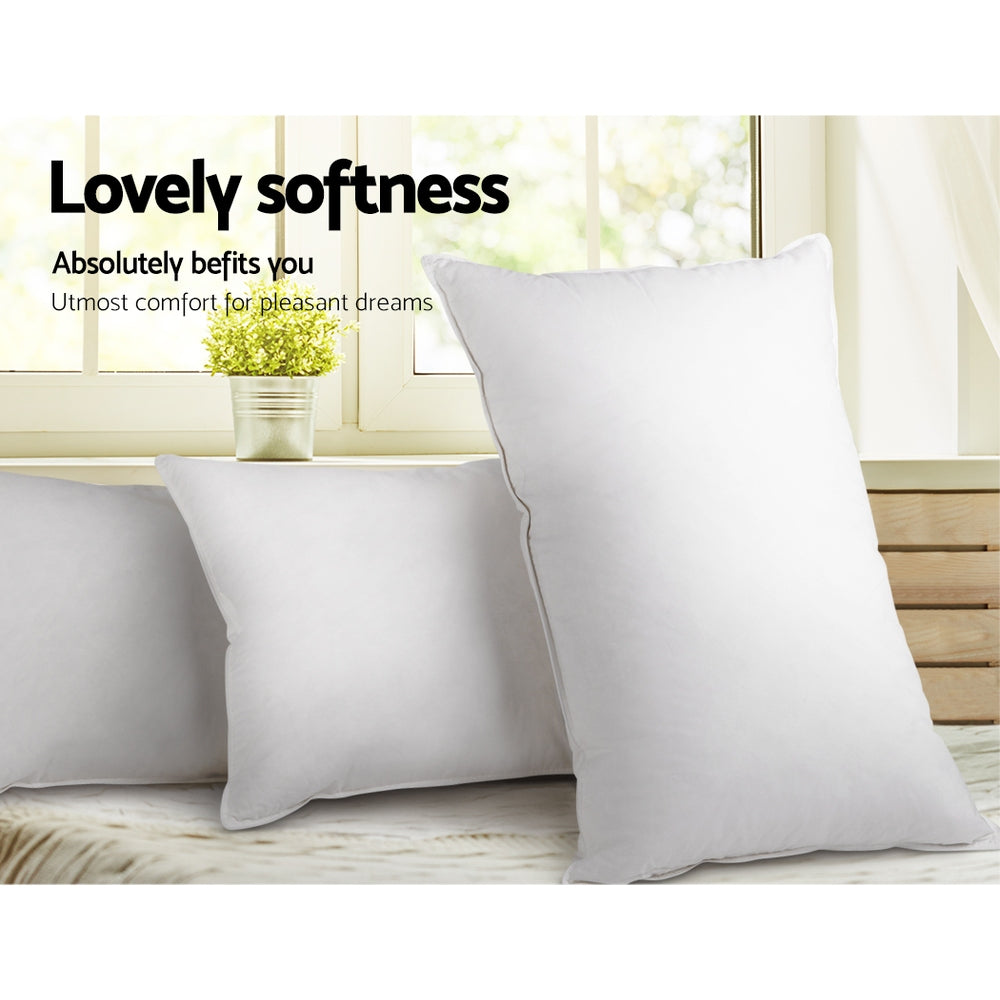Pillows: Giselle Bedding Duck Feather Down Pillow Twin Pack