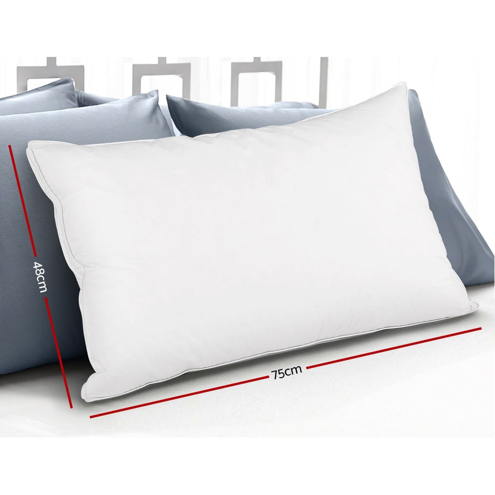 Pillows: Giselle Bedding Goose Feather Down Pillow Luxury Twin Pack