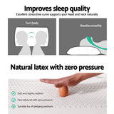 Pillows: Giselle Bedding Natural Latex Pillow Classic Twin Pack