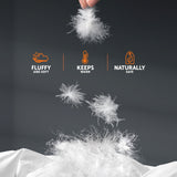 Quilts & Duvets: Giselle Bedding 500GSM Goose Down Feather Quilt Queen