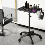 Utility Trolleys: Embellir Salon Trolley Cart Spa Beauty Rolling Tray Hairdressing Storage 5-wheel