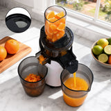 Distilling & Brewing: Devanti Slow Juicer Cold Press Fruit Juice Extractor 130W White