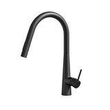Tap & Sink Accessories: Cefito Kitchen Mixer Tap Pull Out Round 2 Mode Sink Basin Faucet Swivel WELS Black