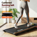 Treadmills: Everfit 3 in 1 Walking Pad Treadmill 12% Incline Under Desk Treadmills for Home Gym With 38cm Wide Belt