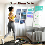 Treadmills: Everfit Walking Pad Treadmill 2 in 1 Foldable Under Desk for Home Gym With 38cm Belt With APP