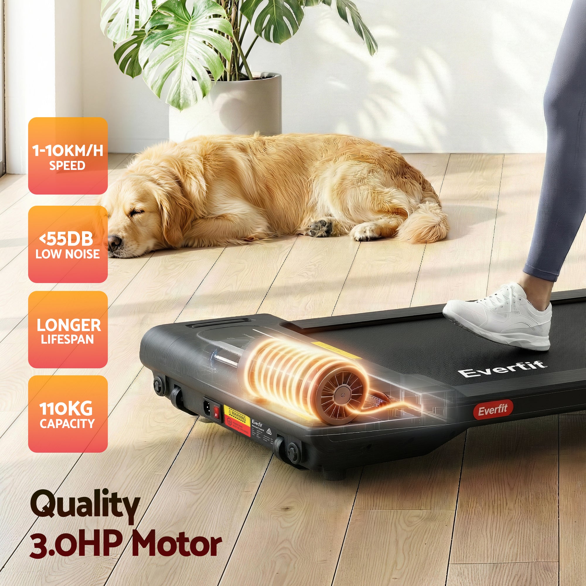 Treadmills: Everfit Walking Pad Treadmill 2 in 1 Foldable Under Desk for Home Gym With 38cm Belt With APP