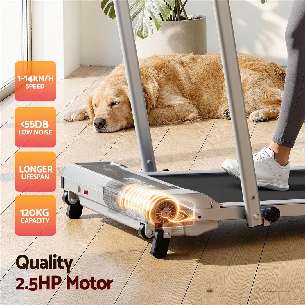 Everfit 3 in 1 Walking Pad Treadmill 12% Incline Foldable Under Desk Treadmills for Home Gym With 40cm Wide Belt Silver