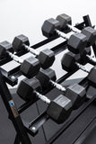 4 Pairs Hex Dumbbells PLUS Dumbbell Rack (100 kg | 5kg-20kg | 1.1m 3-tier Rack)