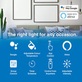 Lighting Accessories: Laser 5W Smart White Bulb E14 - App & Voice Controlled