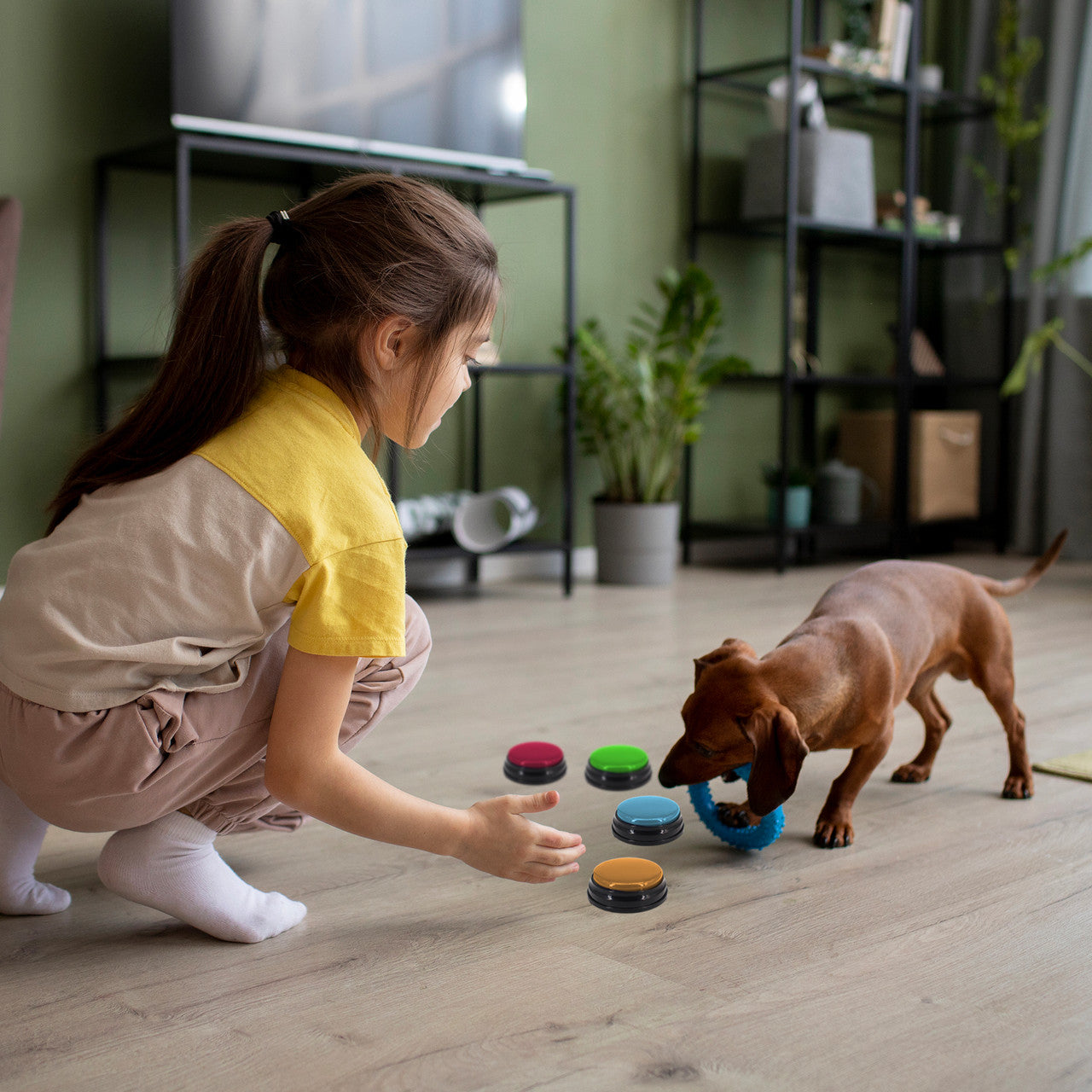 Dog Bowls, Feeders & Waterers: Tech4Pets 4-Pack Talking Buttons for Interactive Pet Communication