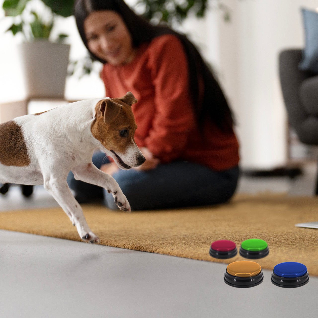 Dog Bowls, Feeders & Waterers: Tech4Pets 4-Pack Talking Buttons for Interactive Pet Communication