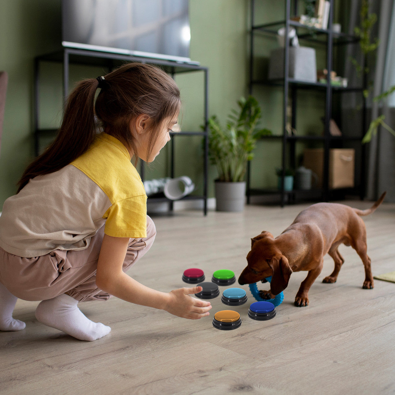 Dog Bowls, Feeders & Waterers: Tech4Pets 6-Pack Talking Buttons for Interactive Pet Communication