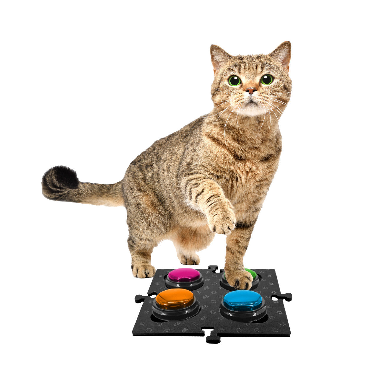Dog Bowls, Feeders & Waterers: Tech4Pets Black Mat 2-Pack for Talking Buttons & Floor