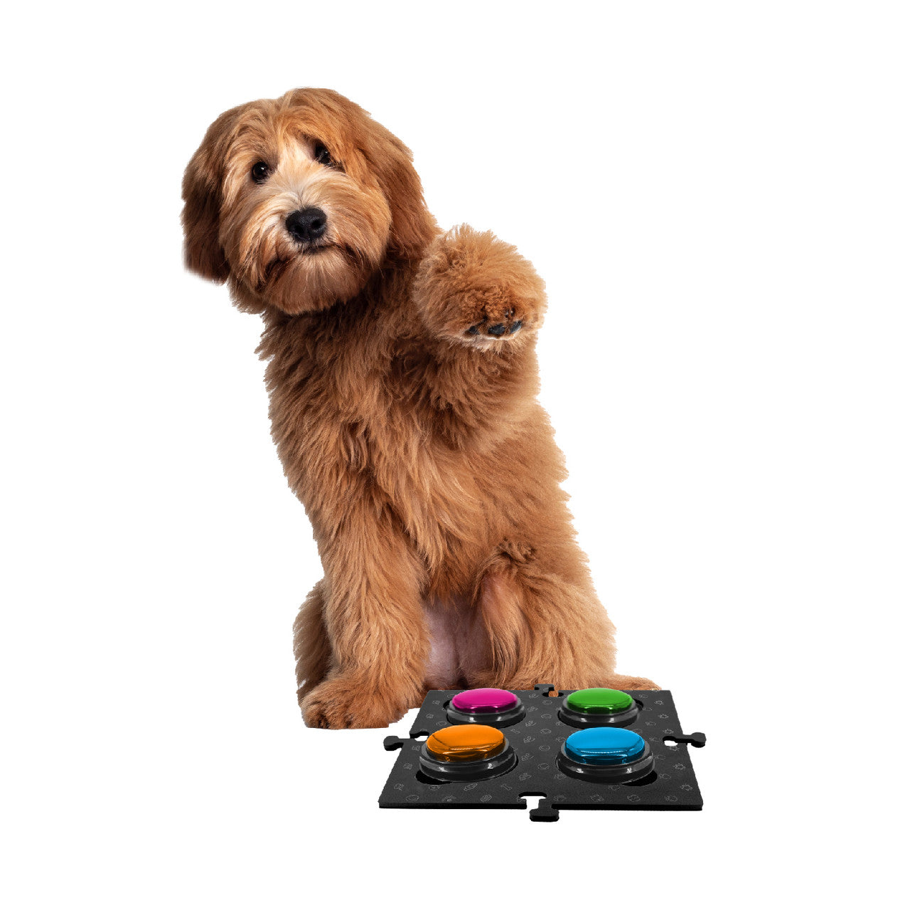 Dog Bowls, Feeders & Waterers: Tech4Pets Black Mat 2-Pack for Talking Buttons & Floor