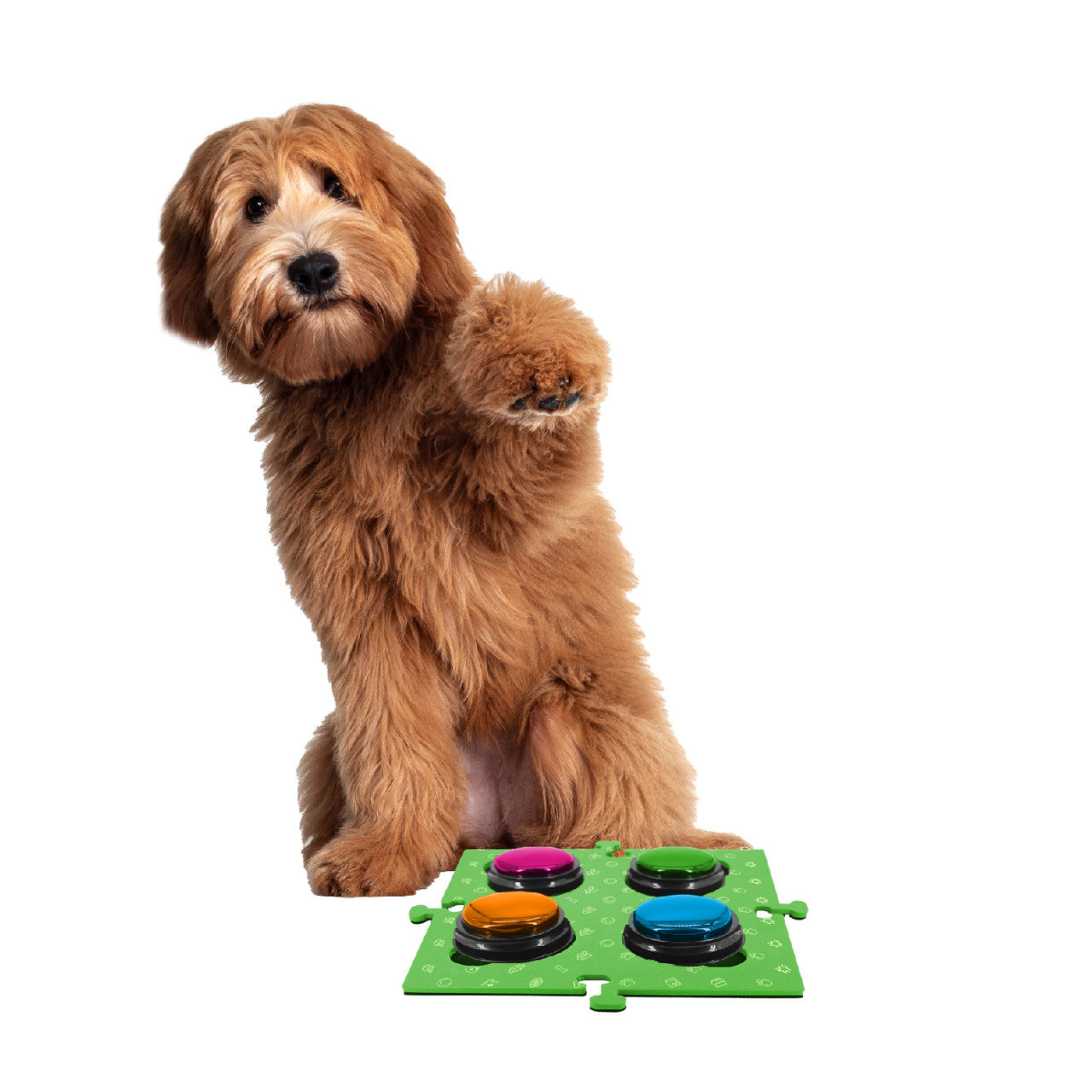 Dog Bowls, Feeders & Waterers: Tech4Pets Green Mat 2-Pack for Talking Buttons & Floor