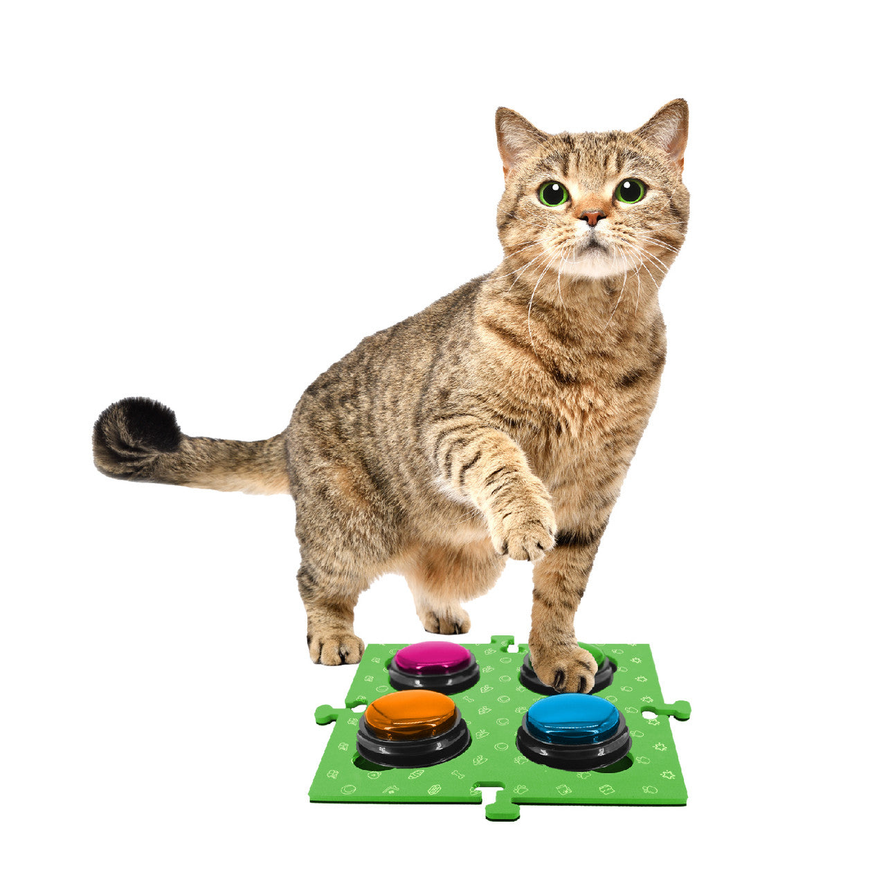 Dog Bowls, Feeders & Waterers: Tech4Pets Green Mat 2-Pack for Talking Buttons & Floor