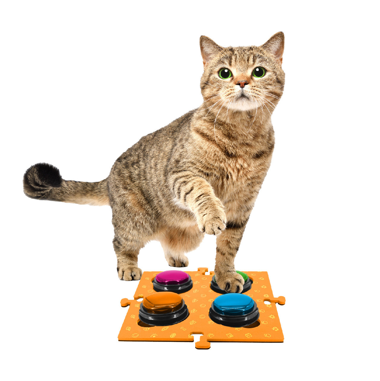 Dog Bowls, Feeders & Waterers: Tech4Pets Orange Mat 2-Pack for Talking Buttons & Floor