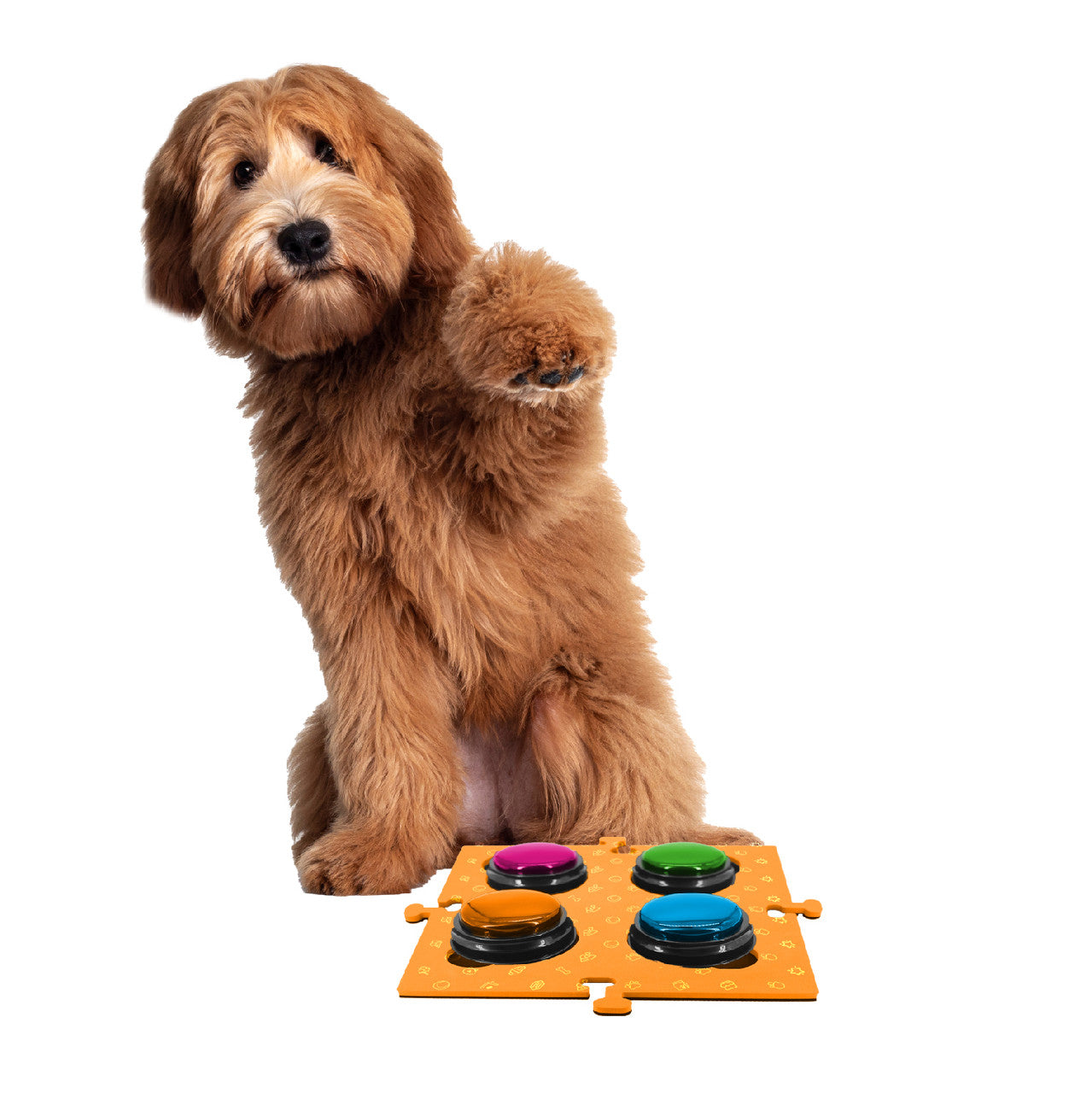 Dog Bowls, Feeders & Waterers: Tech4Pets Orange Mat 2-Pack for Talking Buttons & Floor