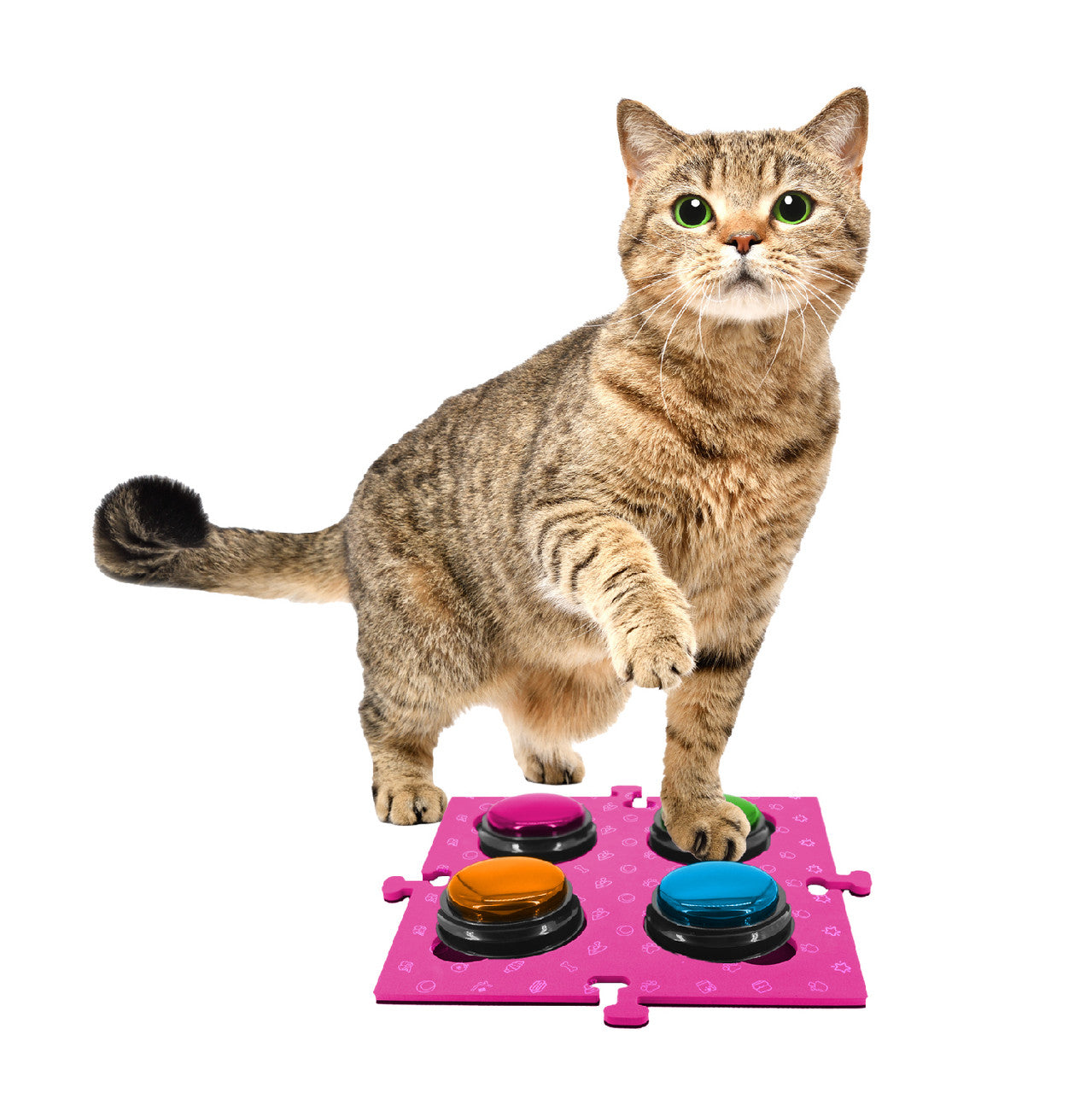 Dog Bowls, Feeders & Waterers: Tech4Pets Pink Mat 2-Pack for Talking Buttons & Floor