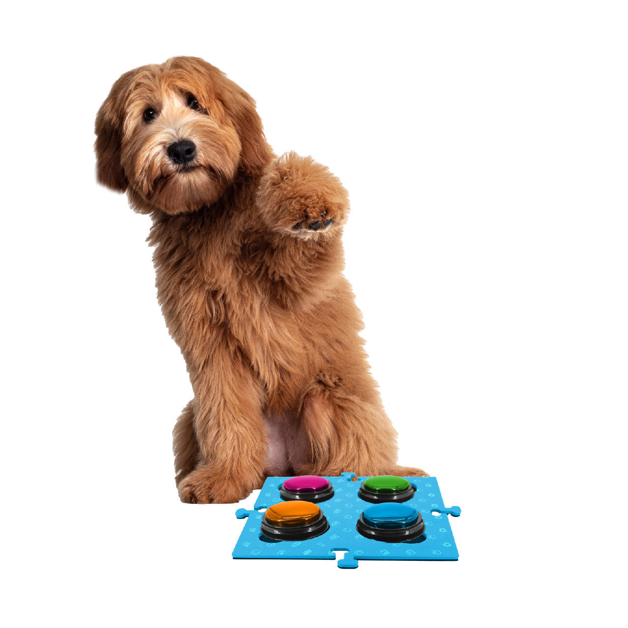 Dog Bowls, Feeders & Waterers: Tech4Pets Blue Mat 2-Pack for Talking Buttons & Floor