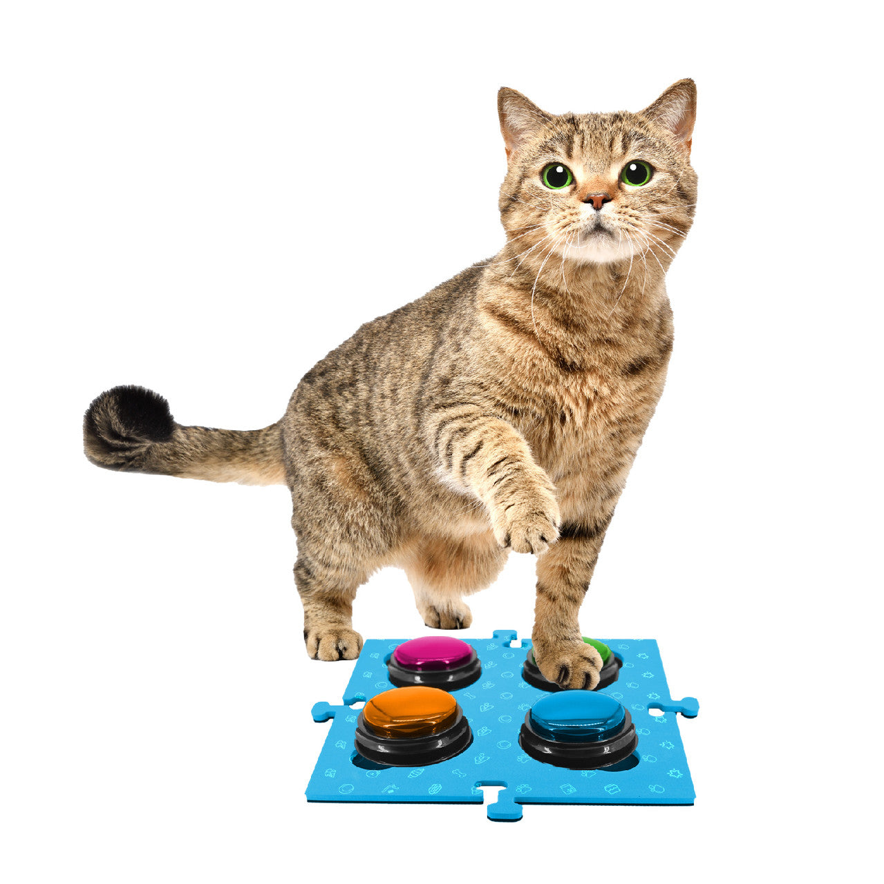 Dog Bowls, Feeders & Waterers: Tech4Pets Blue Mat 2-Pack for Talking Buttons & Floor