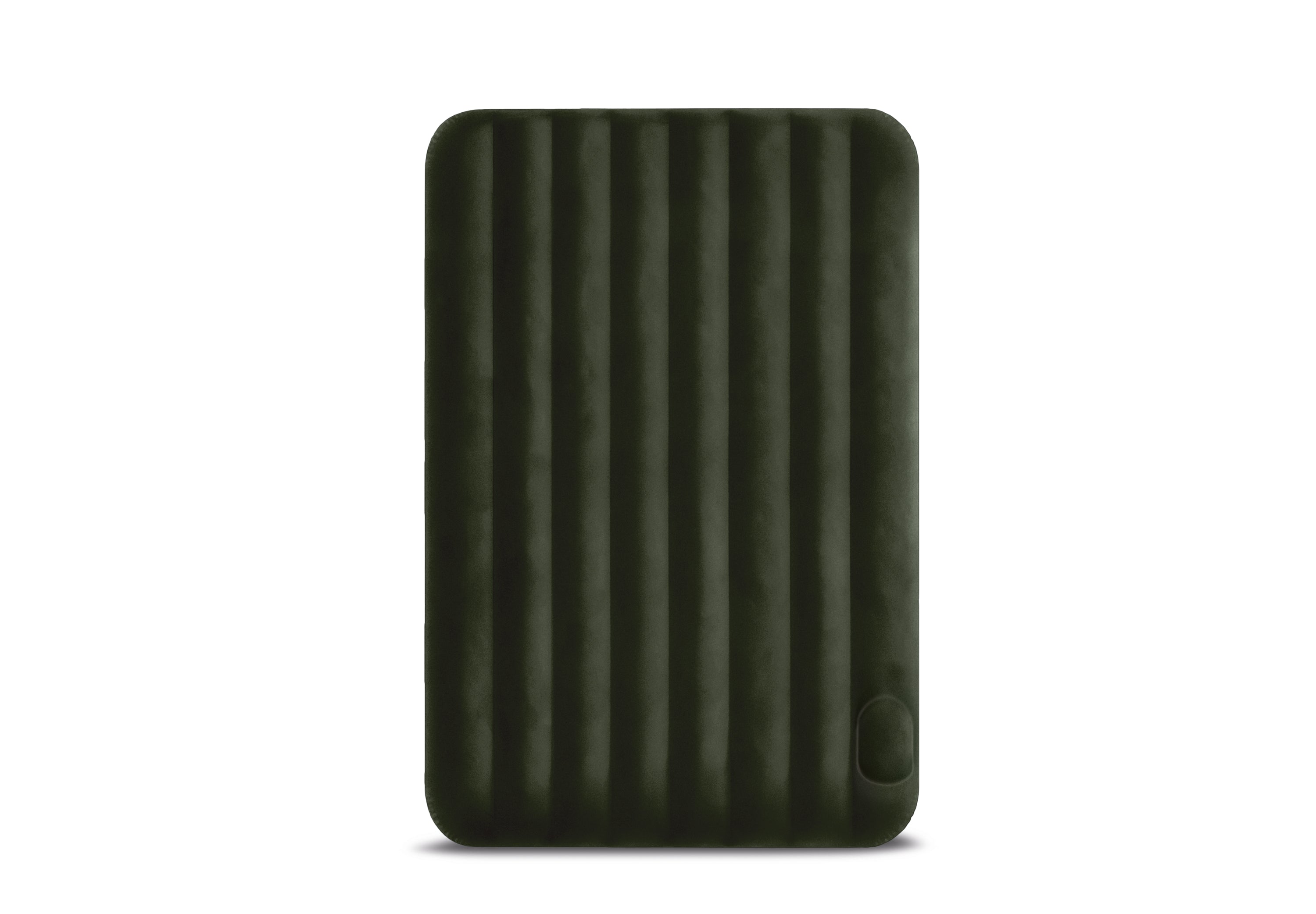 Inflatable Mattresses: INTEX Double Dura-Beam Standard Downy Air Mattress 10" w/ Built-In Foot Pump