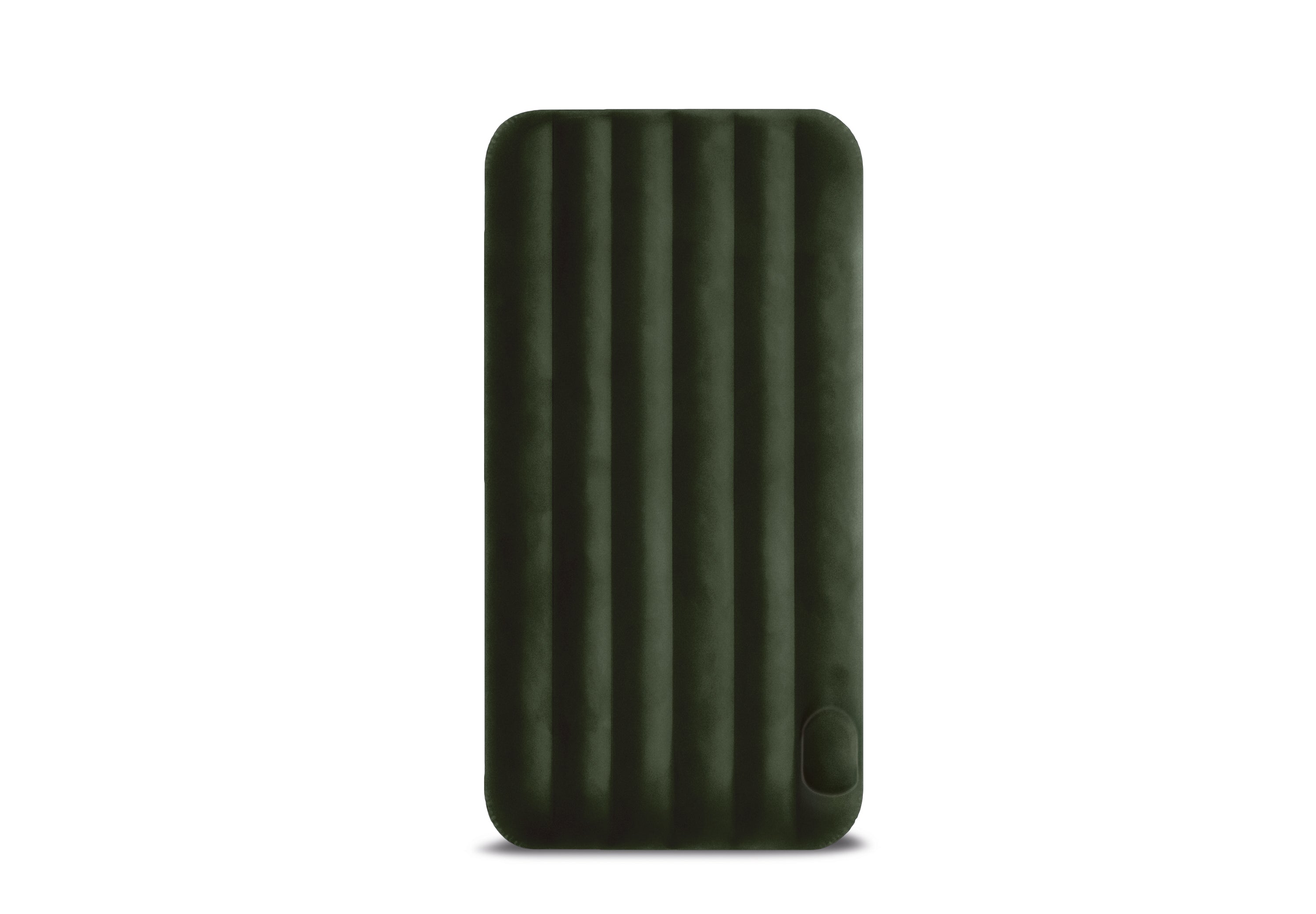 Inflatable Mattresses: Intex Single (Twin) Classic Airbed With Built in Pump 64761