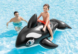 Pool Toys & Inflatables: Intex Whale Ride-On 58561