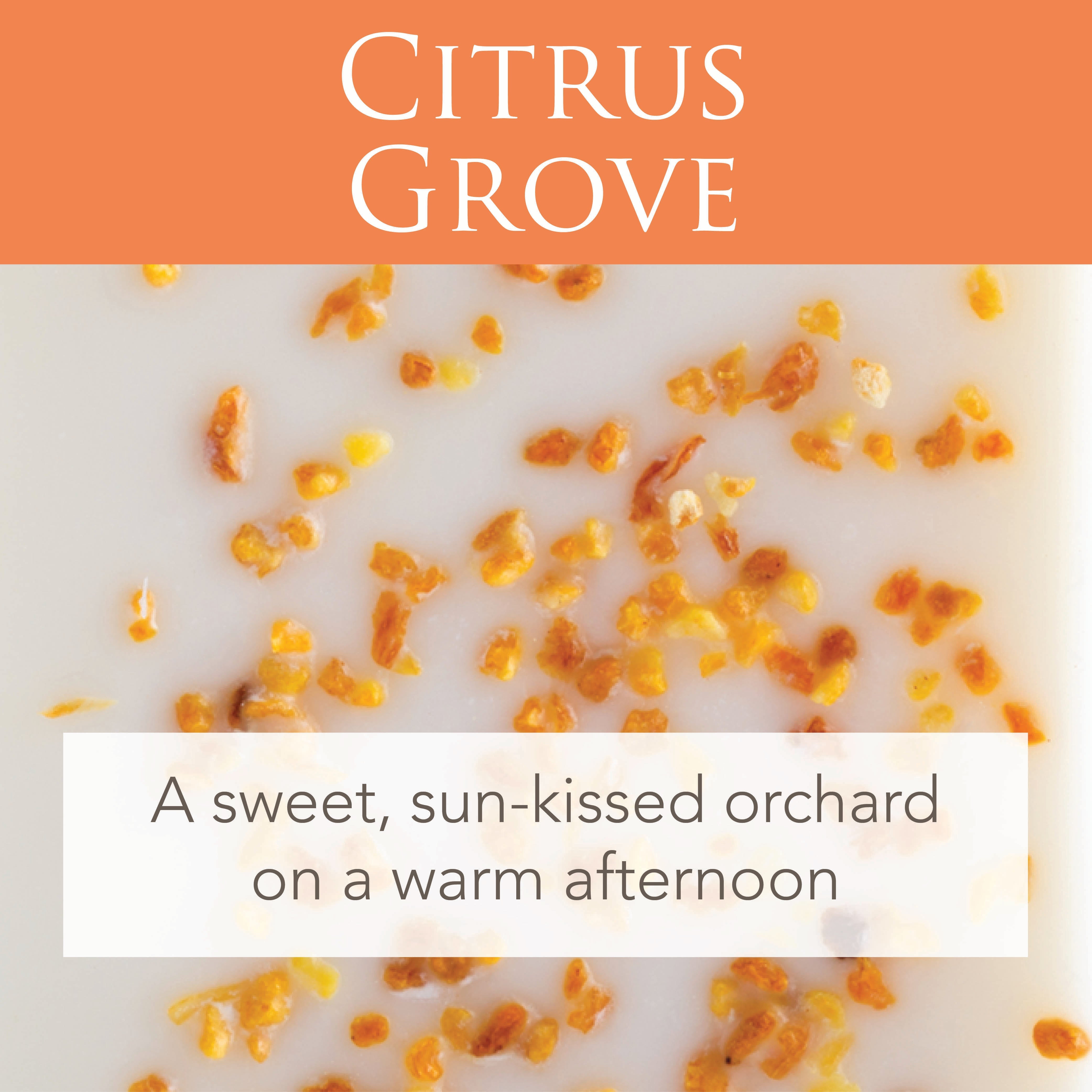 Candles & Diffusers: Citrus Grove 2.5 Oz Artisan Melts