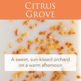 Candles & Diffusers: Citrus Grove 2.5 Oz Artisan Melts