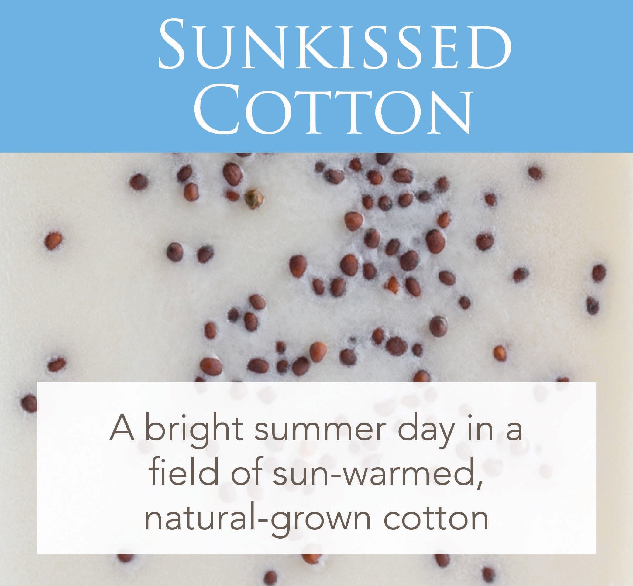 Candles & Diffusers: Sunkissed Cotton 2.5 Oz Artisan Melts