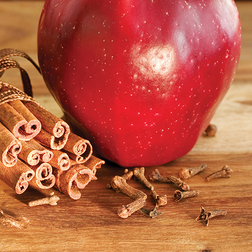 Candles & Diffusers: Spiced Apple Wax Melts 2.5oz