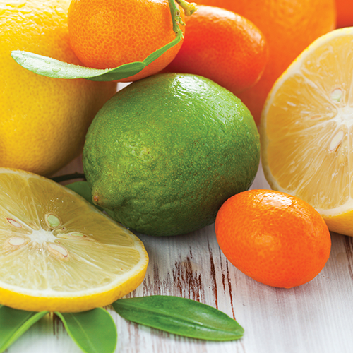 Candles & Diffusers: Sugared Citrus Wax Melts 2.5oz