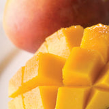 Candles & Diffusers: Summer Mango Wax Melts 2.5oz