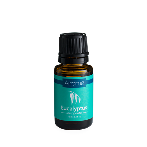 Massage Oils: Eucalyptus Essential Oil