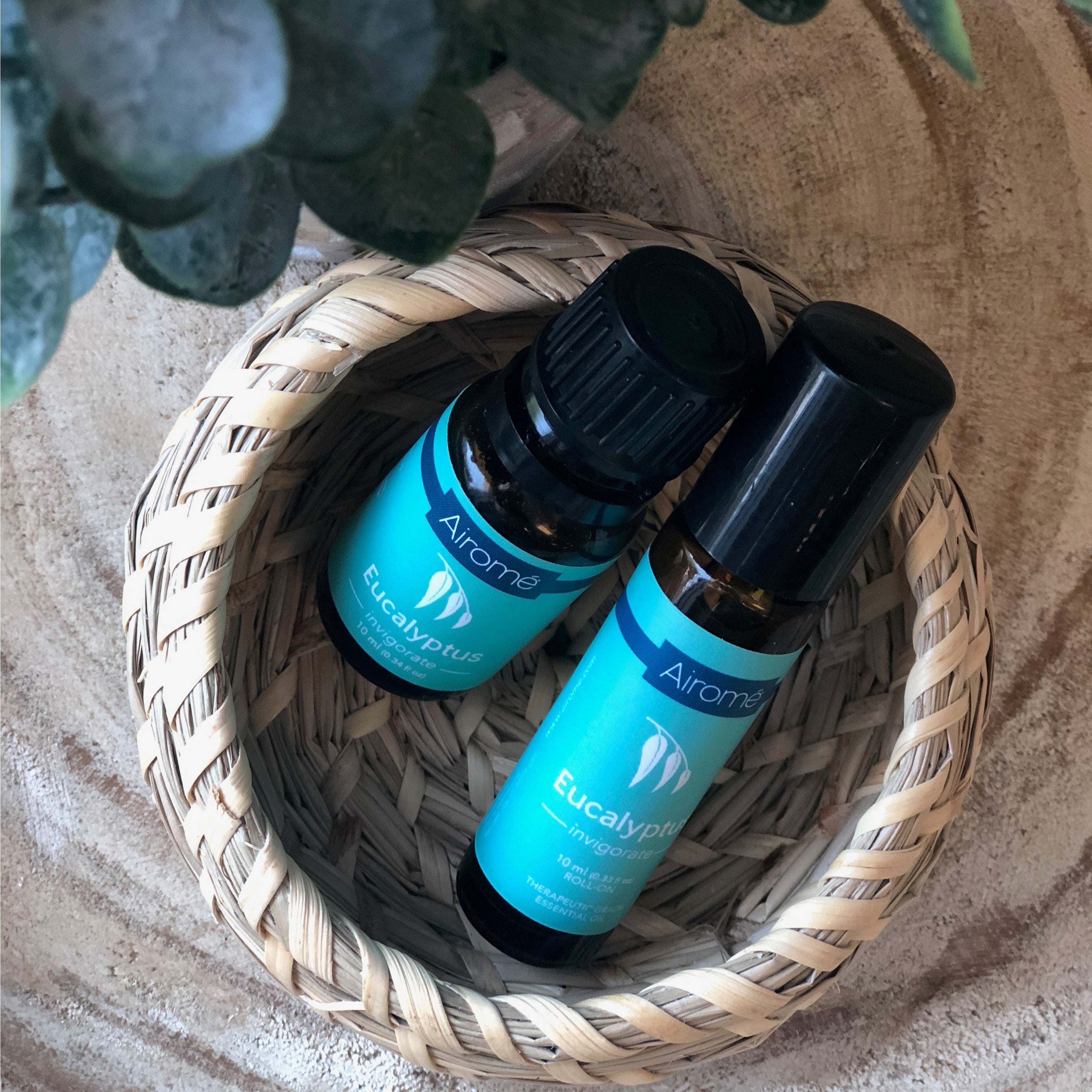 Massage Oils: Eucalyptus Essential Oil