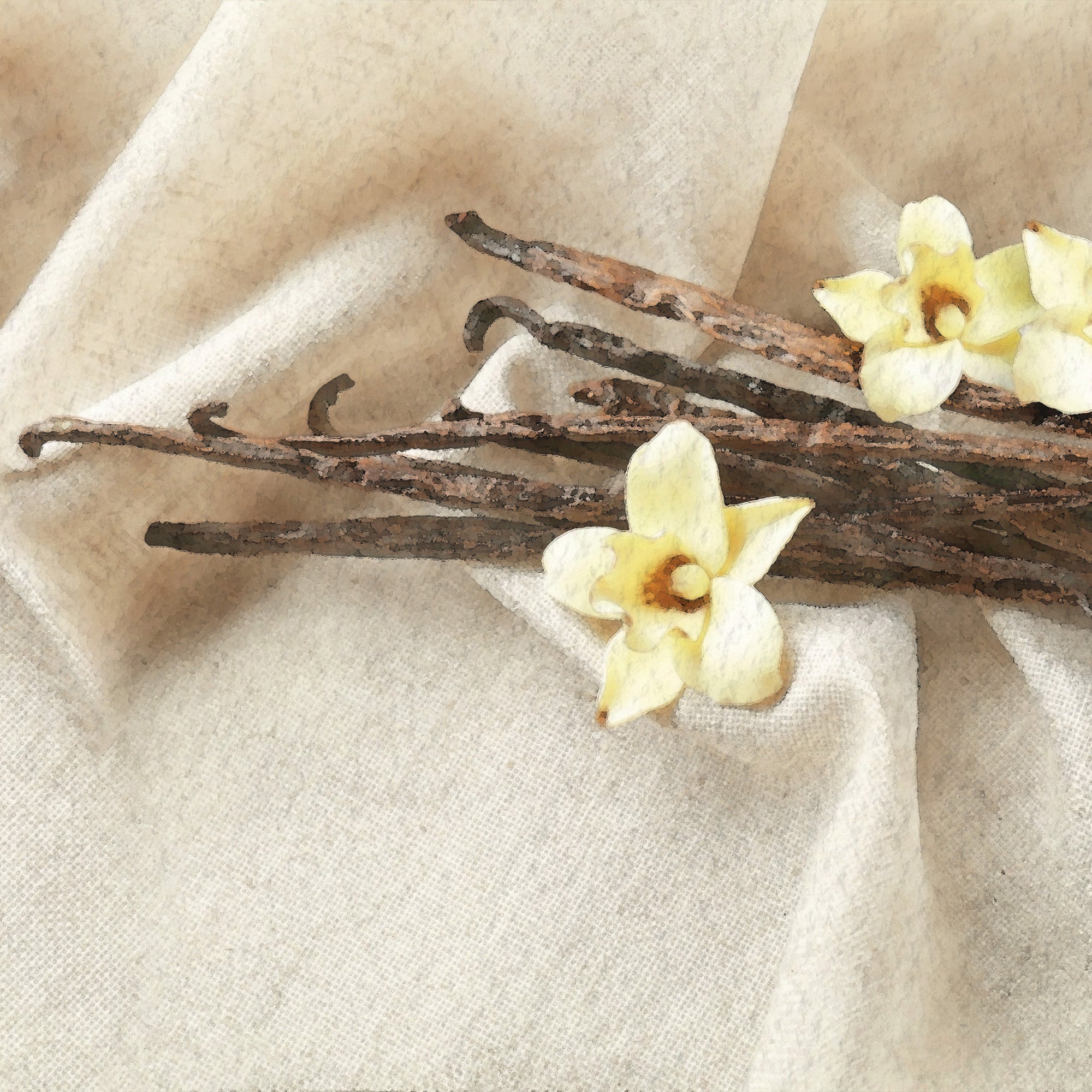 Massage Oils: Vanilla Dream Scents