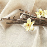 Massage Oils: Vanilla Dream Scents