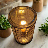 Candles & Diffusers: Chicken Wire Edison Bulb Illumination Warmer