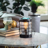 Candles & Diffusers: Coastal Edison Bulb Illumination Warmer