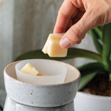 Candle Accessories: Flip Dish - Large