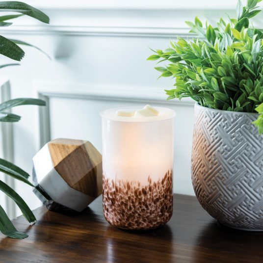 Candles & Diffusers: Tiger Shell Glass Illumination Warmer
