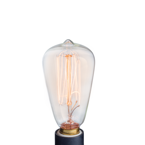 Light Bulbs: NP3 Bulb Edison